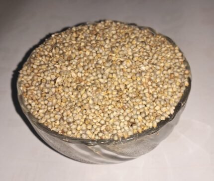 Kambu Millet