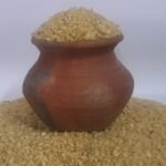 Organic Garudan Samba Rice grains – Traditional Heirloom Rice from Tamil Nadu
